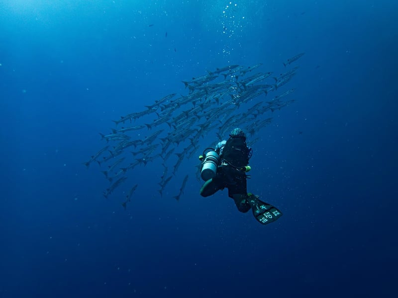 Deep-Sea Exploration